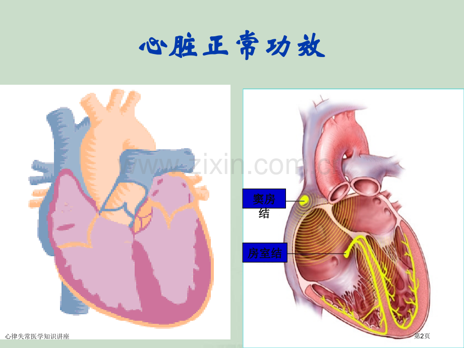 心律失常医学知识讲座专家讲座.pptx_第2页