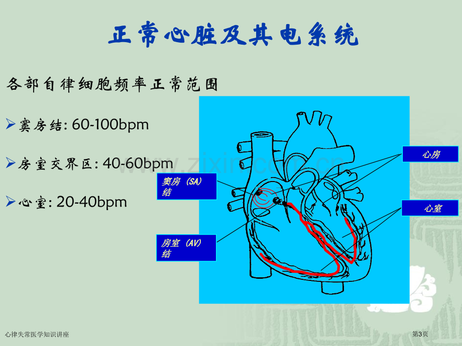 心律失常医学知识讲座专家讲座.pptx_第3页