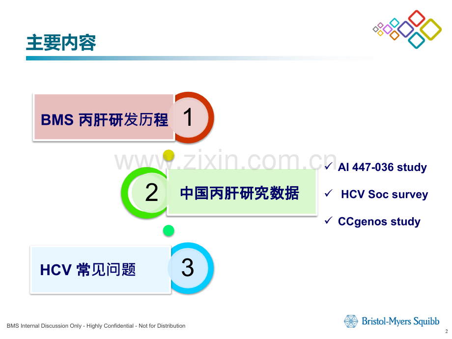 2016丙肝医学知识更新8月份三亚.pptx_第2页