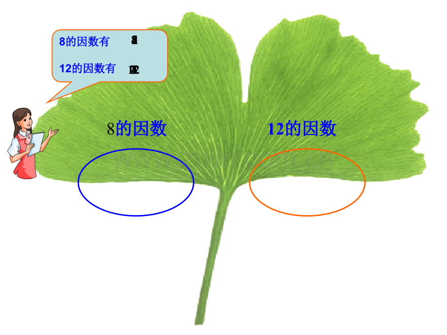 2016人教版五年级数学下册第四单元最大公因数.pptx_第3页