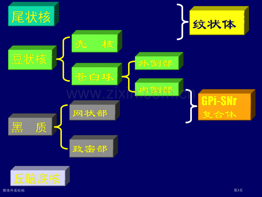 锥体外系疾病专家讲座.pptx_第3页