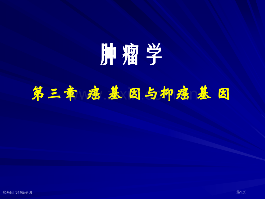 癌基因与抑癌基因专家讲座.pptx_第1页