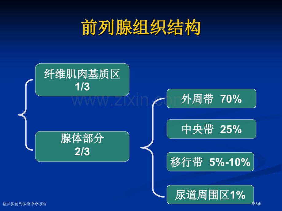 磁共振前列腺癌诊疗标准专家讲座.pptx_第3页