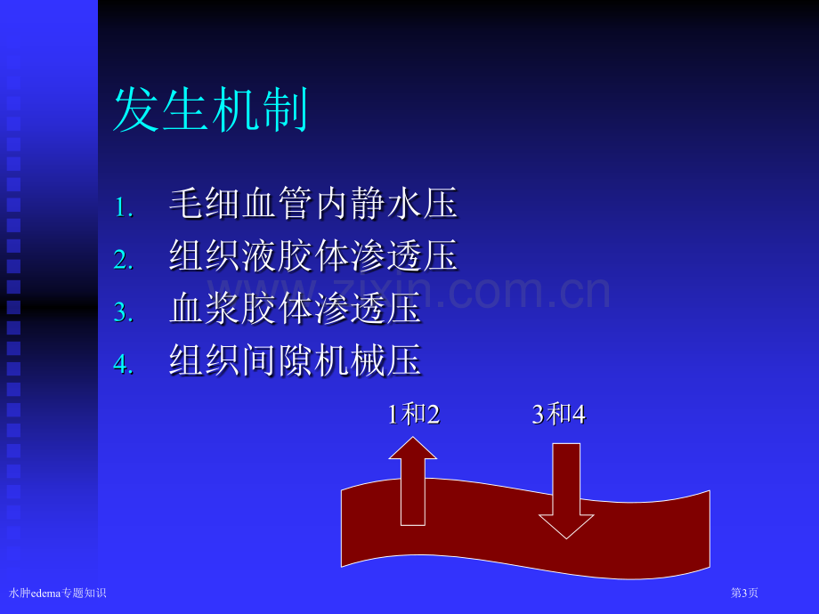 水肿edema专题知识专家讲座.pptx_第3页