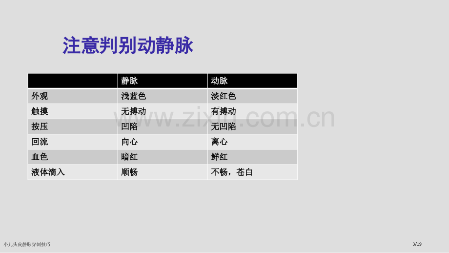 小儿头皮静脉穿刺技巧.pptx_第3页