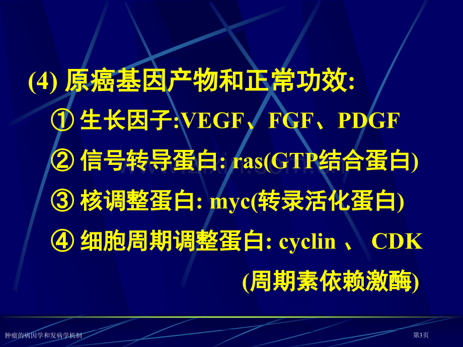 肿瘤的病因学和发病学机制专家讲座.pptx_第3页