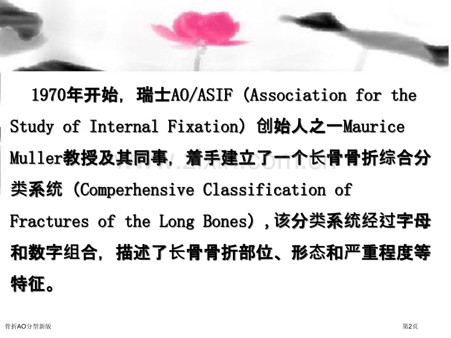 骨折AO分型新版.pptx_第2页