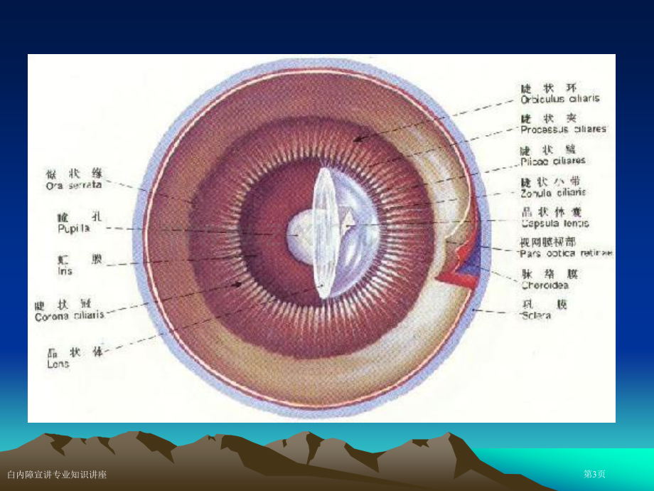 白内障宣讲专业知识讲座.pptx_第3页