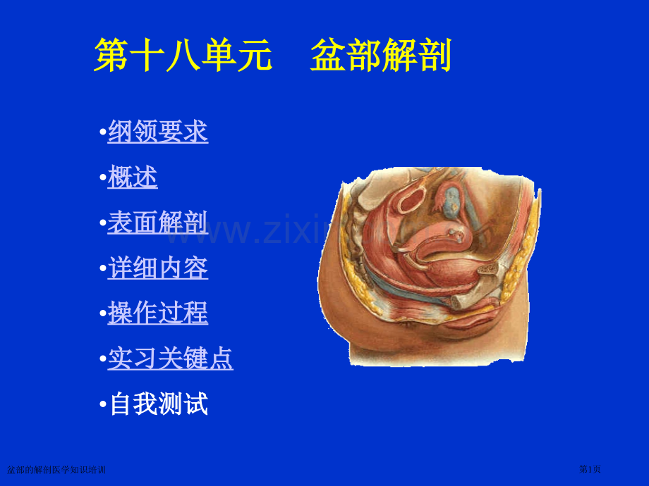 盆部的解剖医学知识培训专家讲座.pptx_第1页