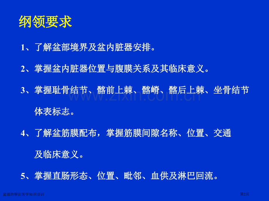 盆部的解剖医学知识培训专家讲座.pptx_第2页