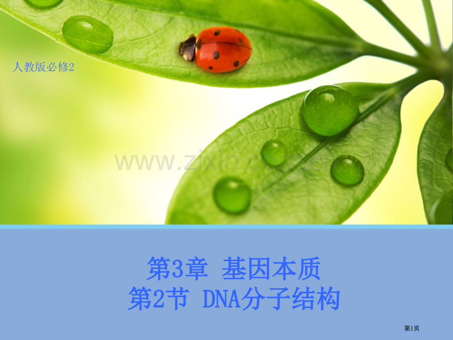 生物dna分子的结构人教版必修市公开课金奖市赛课一等奖课件.pptx_第1页