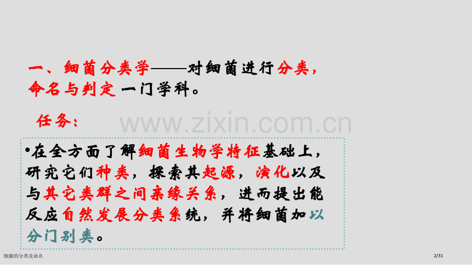 细菌的分类及命名.pptx_第2页