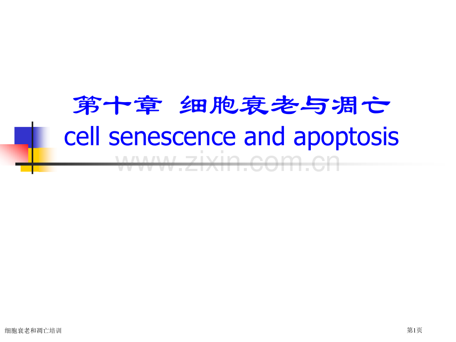 细胞衰老和凋亡培训专家讲座.pptx_第1页