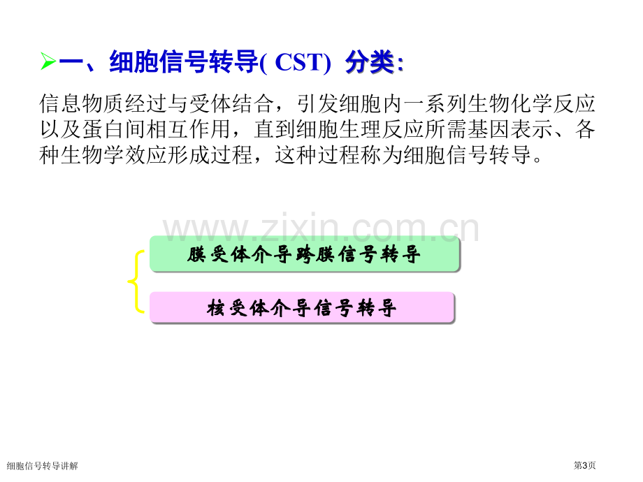 细胞信号转导讲解专家讲座.pptx_第3页