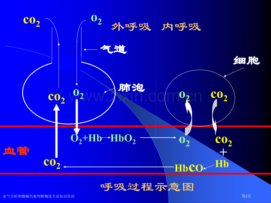 血气分析和酸碱失衡判断概述专业知识培训专家讲座.pptx_第2页