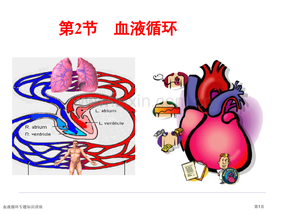 血液循环专题知识讲座专家讲座.pptx_第1页