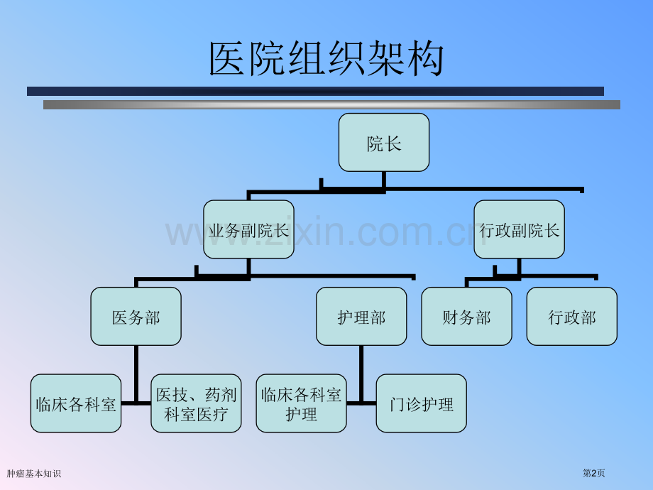 肿瘤基本知识专家讲座.pptx_第2页