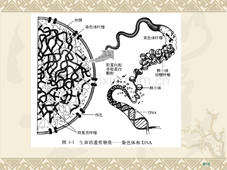 生命中的化学公开课一等奖优质课大赛微课获奖课件.pptx_第2页