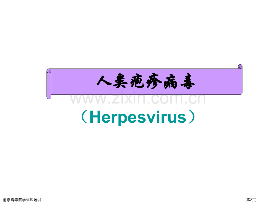 疱疹病毒医学知识培训专家讲座.pptx_第2页