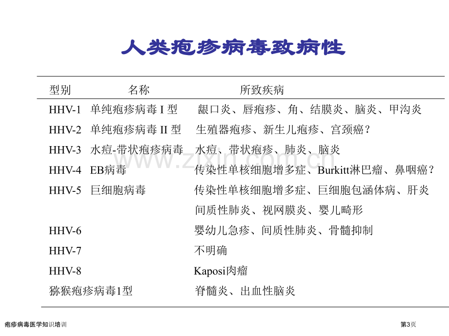 疱疹病毒医学知识培训专家讲座.pptx_第3页