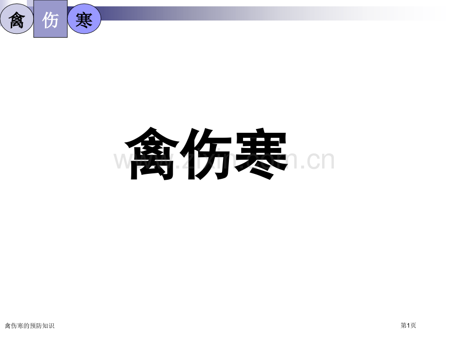 禽伤寒的预防知识专家讲座.pptx_第1页