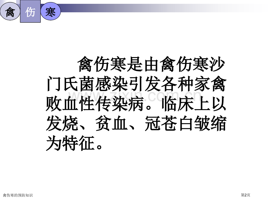 禽伤寒的预防知识专家讲座.pptx_第2页