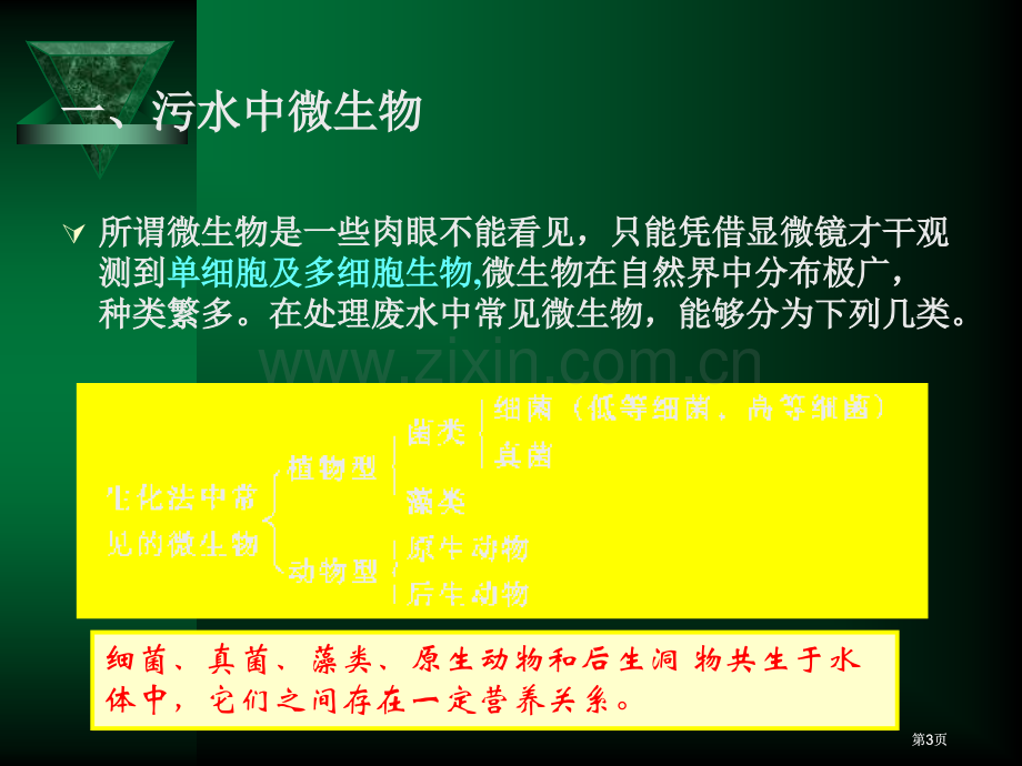 污水的好氧生物处理市公开课金奖市赛课一等奖课件.pptx_第3页