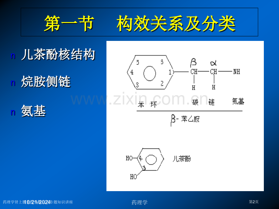 药理学肾上腺素受体激动药专题知识讲座专家讲座.pptx_第2页