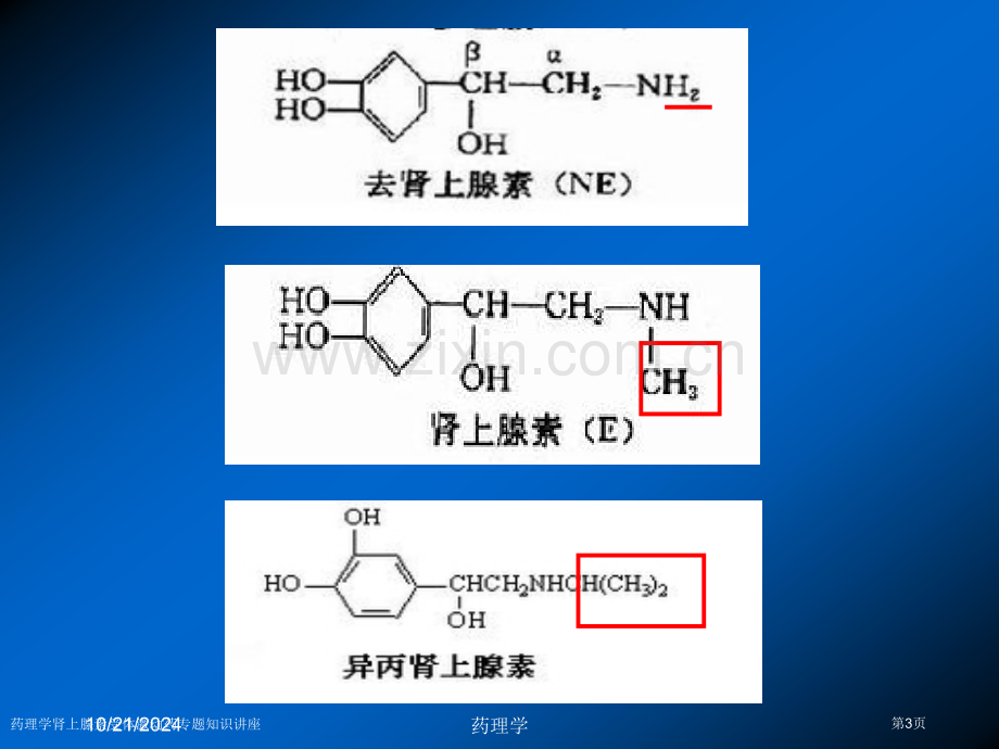 药理学肾上腺素受体激动药专题知识讲座专家讲座.pptx_第3页