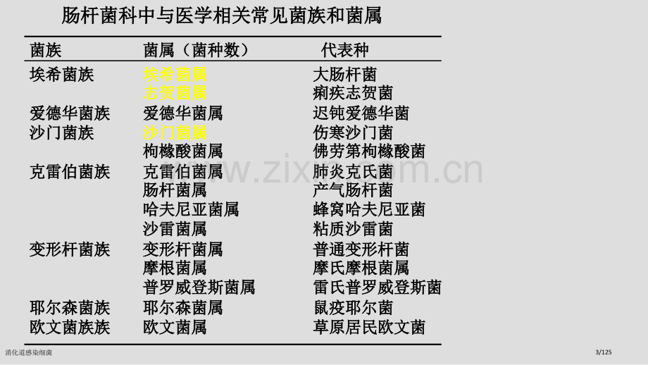 消化道感染细菌.pptx_第3页