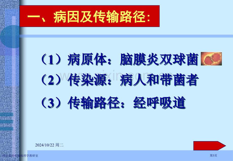 神经系统疾病病理学教研室专家讲座.pptx_第3页