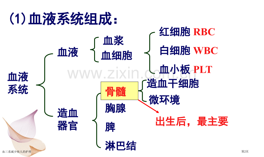 血三系减少病人的护理.pptx_第2页