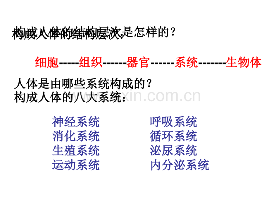 2016春华师大版科学八下74人体是一个统一的整体.pptx_第1页