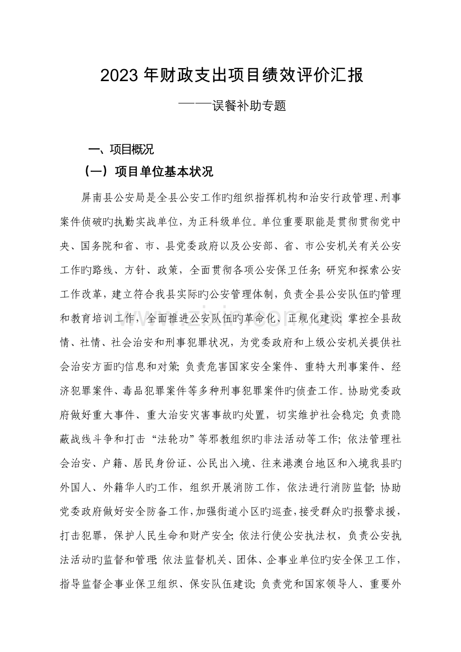 财政支出项目绩效评价报告(8).doc_第1页