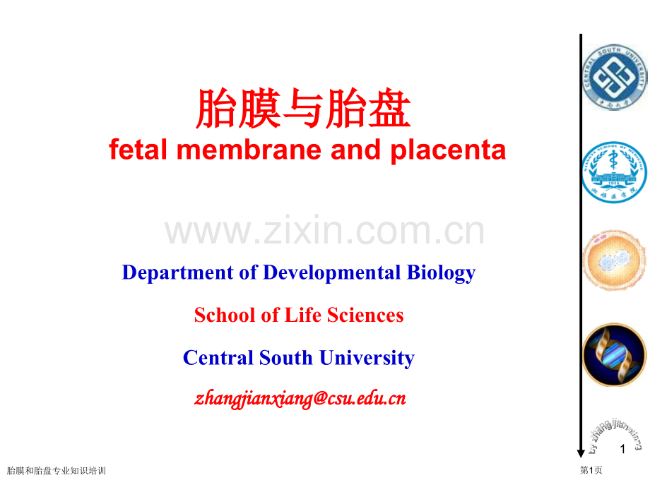 胎膜和胎盘专业知识培训专家讲座.pptx_第1页