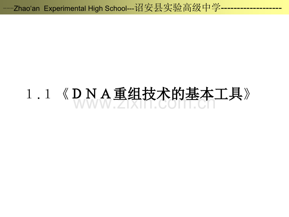 -dna重组技术的基本工具.pptx_第2页