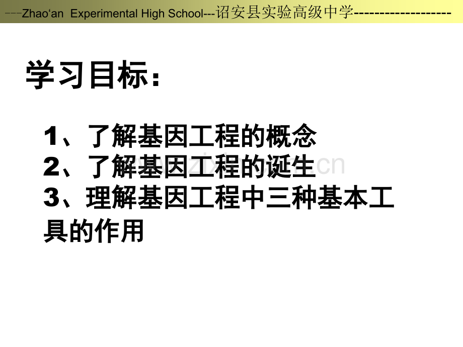 -dna重组技术的基本工具.pptx_第3页