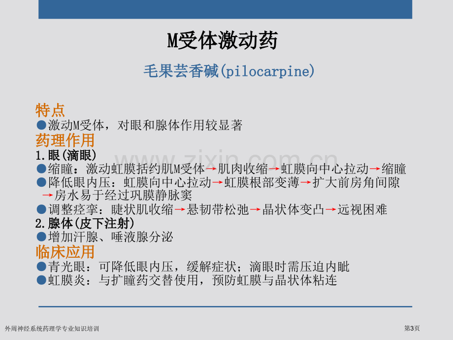 外周神经系统药理学专业知识培训专家讲座.pptx_第3页