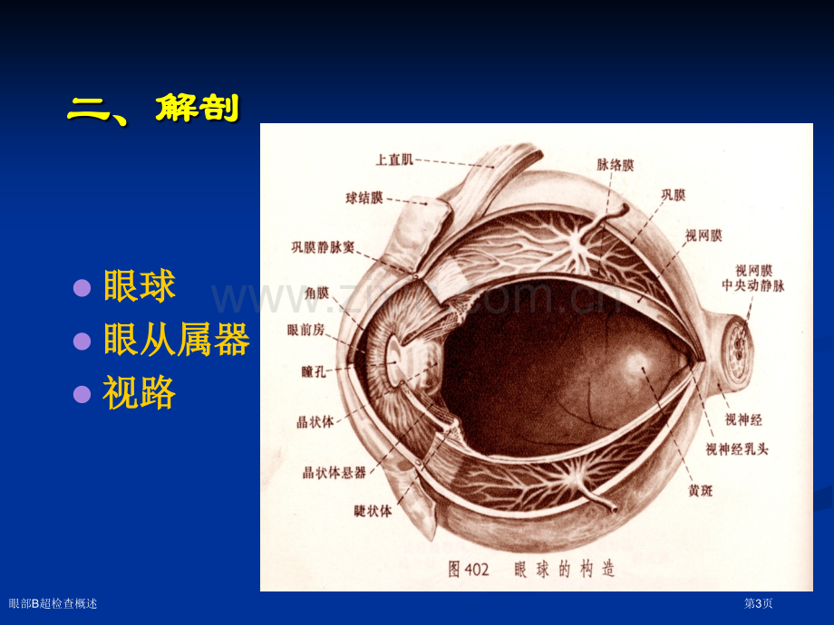 眼部B超检查概述.pptx_第3页