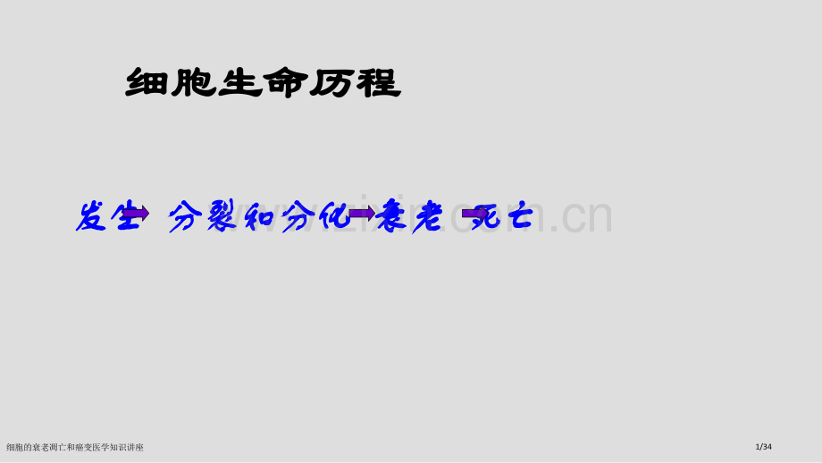 细胞的衰老凋亡和癌变医学知识讲座.pptx_第1页