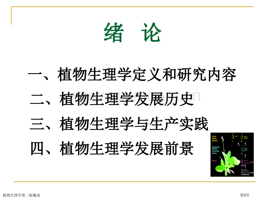 植物生理学第二版概述专家讲座.pptx_第3页