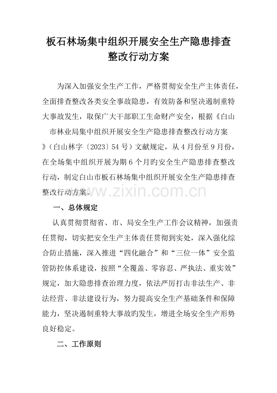 集中组织开展安全生产隐患排查整治行动方案.doc_第1页