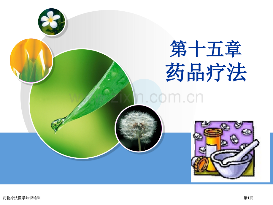 药物疗法医学知识培训专家讲座.pptx_第1页