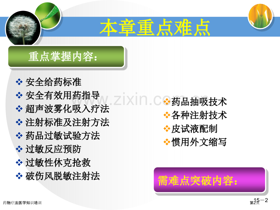 药物疗法医学知识培训专家讲座.pptx_第2页