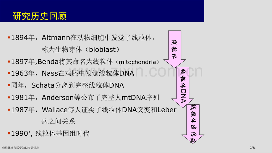 线粒体遗传医学知识专题讲座.pptx_第2页