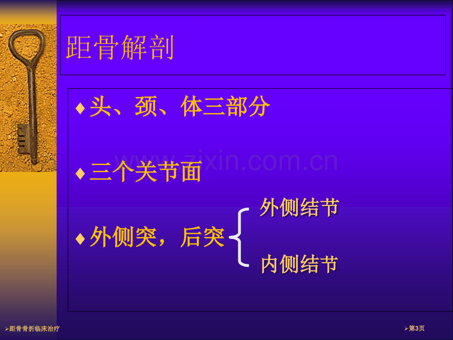 距骨骨折临床治疗.pptx_第3页