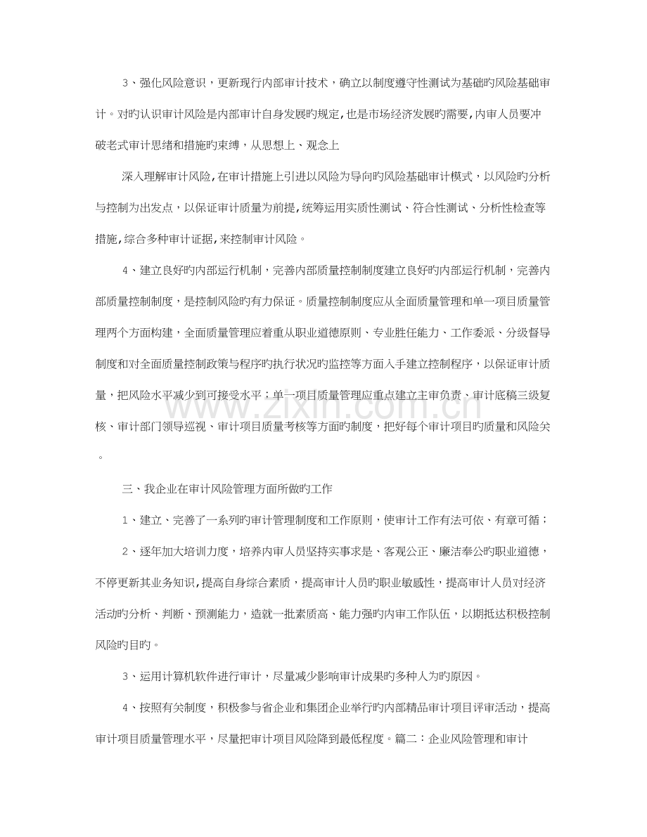 风险管理审计报告.doc_第3页