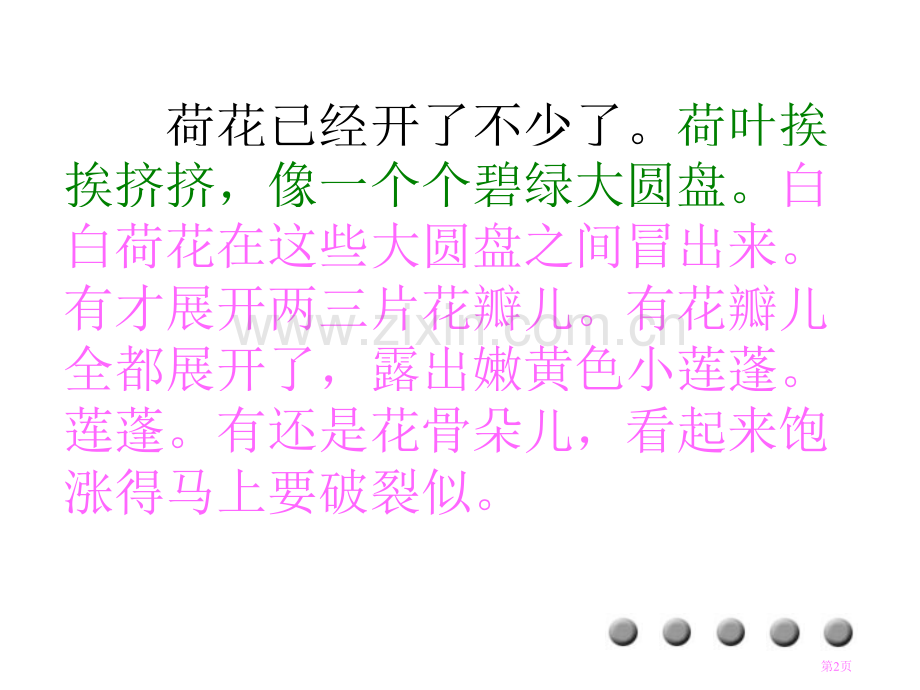 荷花教学1市公开课金奖市赛课一等奖课件.pptx_第2页