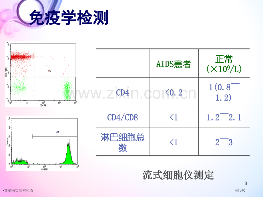 艾滋病实验室检查专家讲座.pptx_第3页