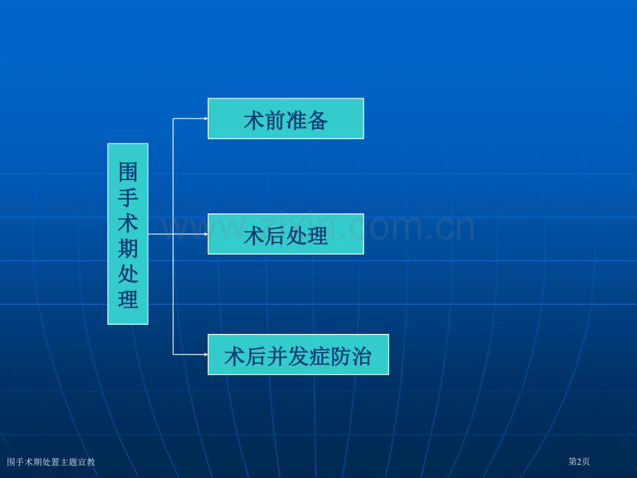 围手术期处置主题宣教专家讲座.pptx_第2页